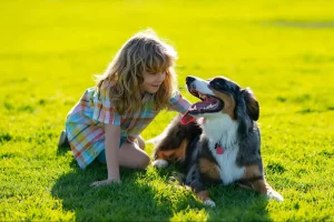 How long does Aquamation take for pets